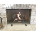 Delia 44 Inch Wide X 32 Inch High Tempered Clear Glass Fireplace Screen