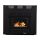 Model 21 ZC Non-Catalytic Wood Burning Fireplace by Buck Stove