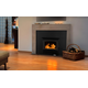 Model 21 Non-Catalytic Wood Insert by Buck Stove Installed
